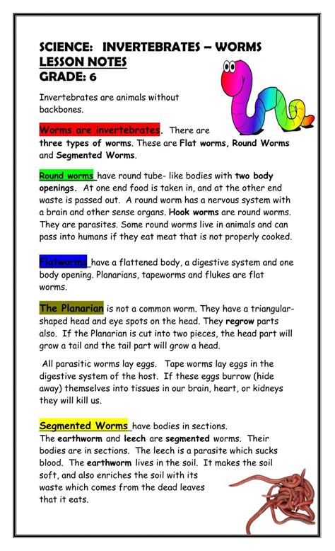 Image result for Worm Microscope Observations Worksheet