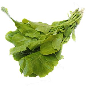 Buy fresho! Palak - With Roots Online at Best Price of Rs 14.59 - bigbasket