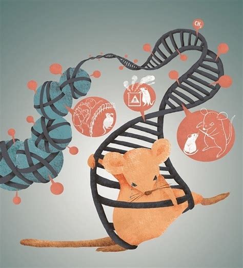 Behavioral Epigenetics: Perspectives Based on Experience-Dependent ...
