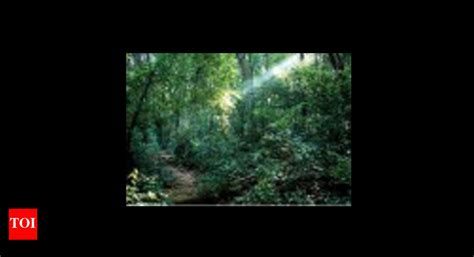 Centre asked to tweak Forest Rights Act to suit Goa: Minister | Goa ...