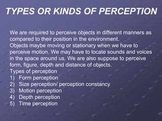 Image result for Different Kinds of Perception