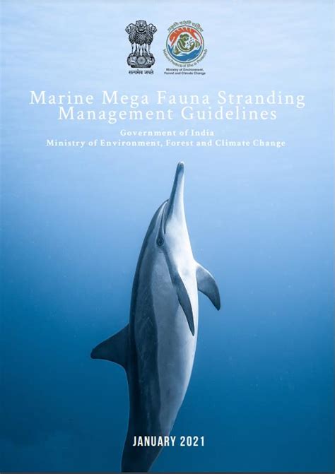 Home || Wildlife (WL)