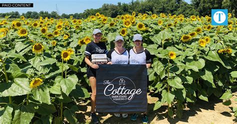 Flowers Owensboro Ky | Best Flower Site