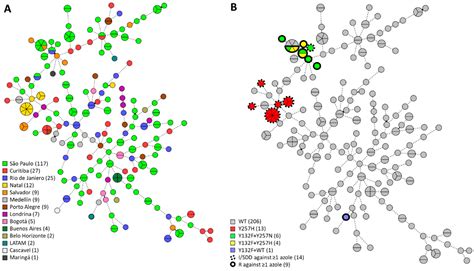 Short Tandem Repeat Genotyping and Antifungal Susceptibility Testing of ...