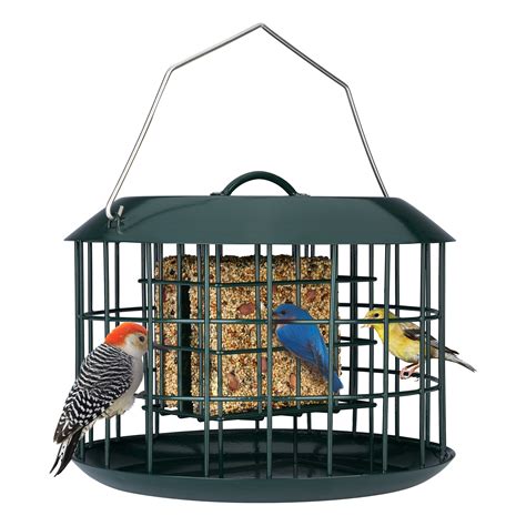 Kingsyard Squirrel Proof Double Suet Feeder, Metal Cage Bird Feeders ...