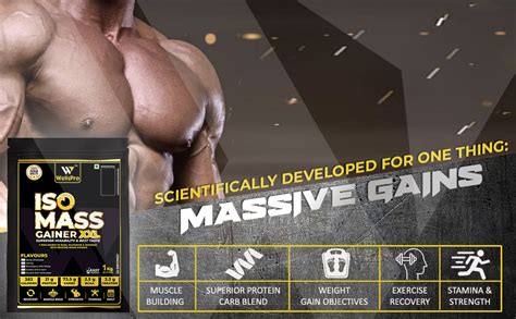 WellsPro Iso Mass Gainer XXL Protein Powder 2kg / 4.4lbs [66 Servings ...