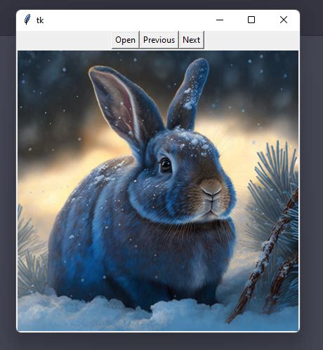 Image result for Python Import Browser