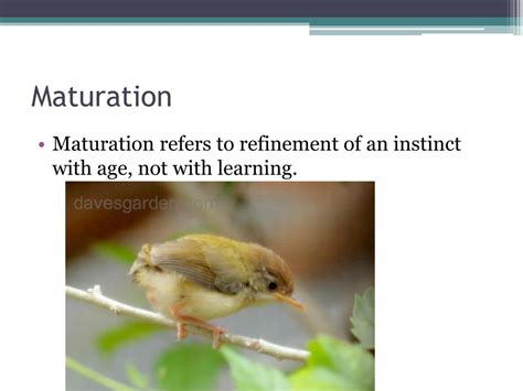 Behavior Definition 的图像结果