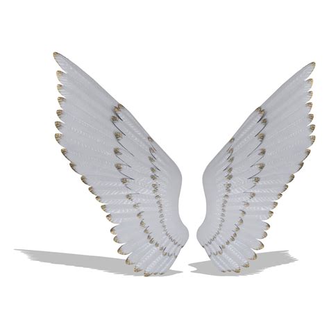 Everly Quinn Elegant Angel Wings Wall Decor Metal Wall Décor - 16" x 40" - (Set of 2) | Wayfair
