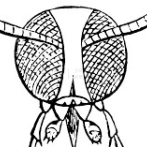 Image result for Digital Matrix Code