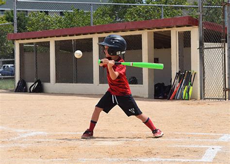 Baseball Camp Program 的图像结果