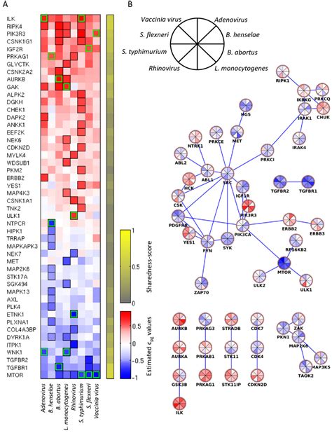 Heat Map of Transcriptome Analysis of Pathogen Infection 的图像结果