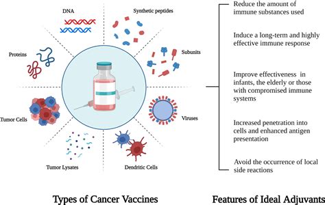 Frontiers | Immunotherapies catering to the unmet medical need of cold colorectal cancer