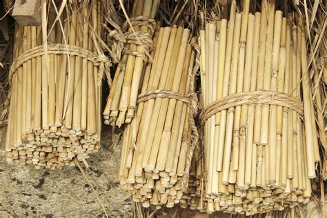 D'source Tools and Raw Materials | Bamboo Stool - Bengaluru | D'Source ...