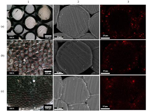 Development and Evaluation of Antimicrobial Hospital Apparel ...