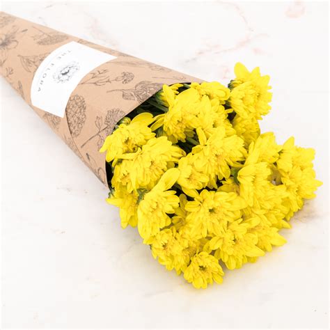 Order Chrysanthemum Online - Send flowers and arrangements - bangalore ...