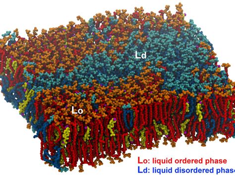 Bioinformatics Modeling 的图像结果