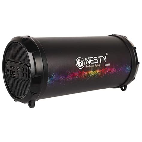 Nesty GR11 3 Watts Bluetooth Portable Speakers (Black) : Amazon.in ...