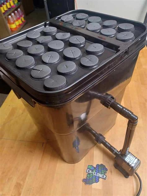 Cloning Machine 的图像结果