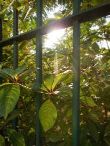 Best cameras for lowlight photography under 15k