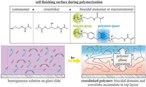 Antimicrobial Polymers in Solution and on Surfaces: Overview and ...