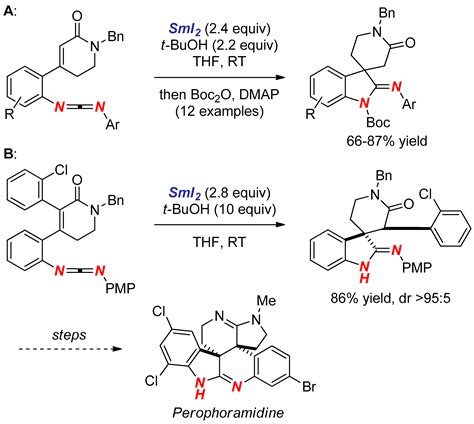 Synthesis of Nitrogen Heterocycles Using Samarium(II) Iodide