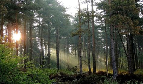 MENDIP CAMP (Shipham) - Campground Reviews & Photos - Tripadvisor