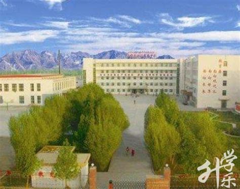 新疆五年制大专招生学校有哪些-艺威教育招生网