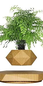 BLUEHAVEN INTERNATIONAL | Floating Levitating Rotating Plant Pot ...