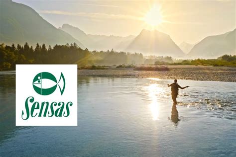 Catalogue Sensas 2024 : découvrez toutes les nouveautés pêche de la marque