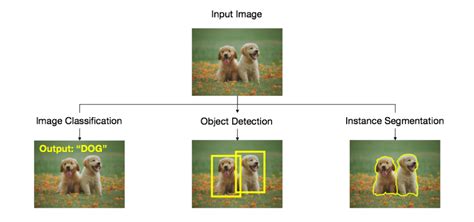 Byte Array From Object Detection 的图像结果