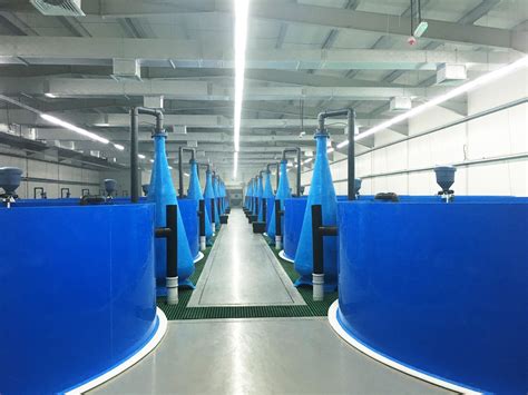 保修2年 循环水养殖养鱼池 室内大型工厂化PP塑料水池-阿里巴巴