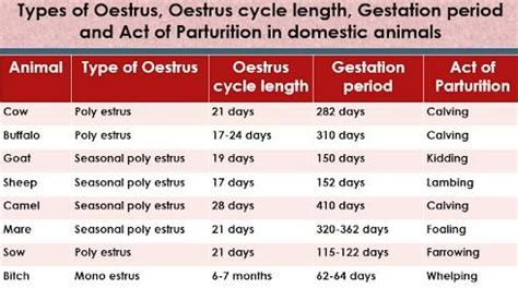 Image result for Parturition Class 12