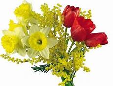 fiori per festa della donna fiori per l 8 marzo festa della donna immagini gif fiori per festa della donna fiori per l 8 marzo festa della donna immagini gif