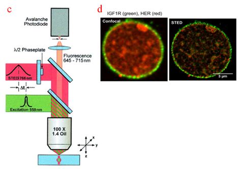 Advanced Biological Imaging for Intracellular Micromanipulation ...