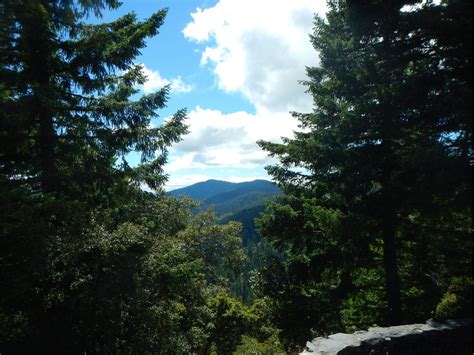 Bear Camp Road Loop | RawFlyer.com