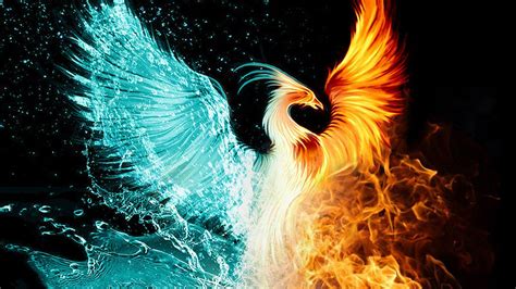 4K Phoenix Bird Wallpapers - Top Free 4K Phoenix Bird Backgrounds ...