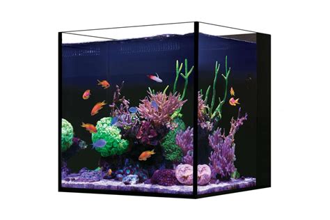 Red Sea Desktop Cube Aquarium Aquarien und Komplettsets [kaufen ...