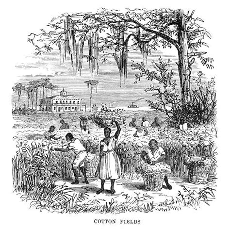 Royalty Free Slavery Clip Art, Vector Images & Illustrations - iStock