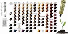 All Hair Colors by All Nutrient Professional Haircolor Hair S The Bling All Hair Colors