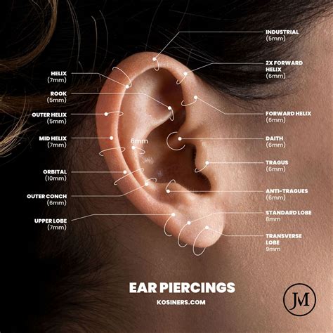 Ear Piercing Guide in 2024 | Ear piercing guide, Cool ear piercings ...