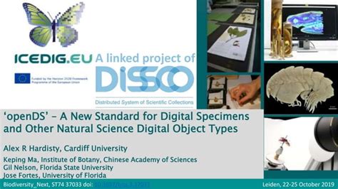 Image result for OpenDS Data Import