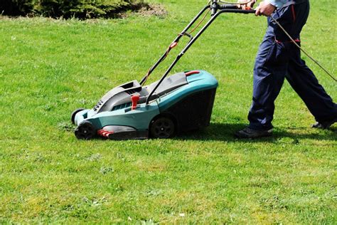 Tagliaerba elettrico   OkayGiardino