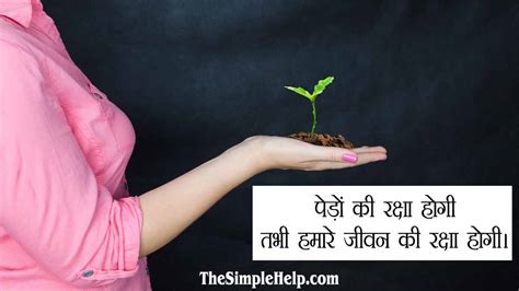 50+ सर्वश्रेष्ठ पेड़ बचाओ पर नारे (स्लोगन) - Slogans on Save Trees in Hindi
