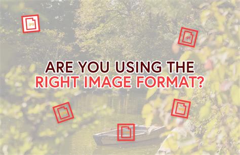 Web Format 的图像结果