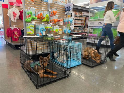 PetSmart hosts grand opening for its newest location | KTSM 9 News