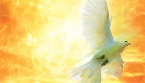 The Miracle In Me (Modern Day Disciple) | Oración del día, Pentecostés ...