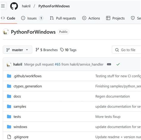 Python Windows 的图像结果