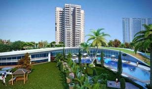 Luggage Transport Services | Luggage Shifting Services in India