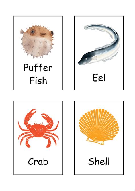 Terrifying Sea Creatures Flash Cards 的图像结果